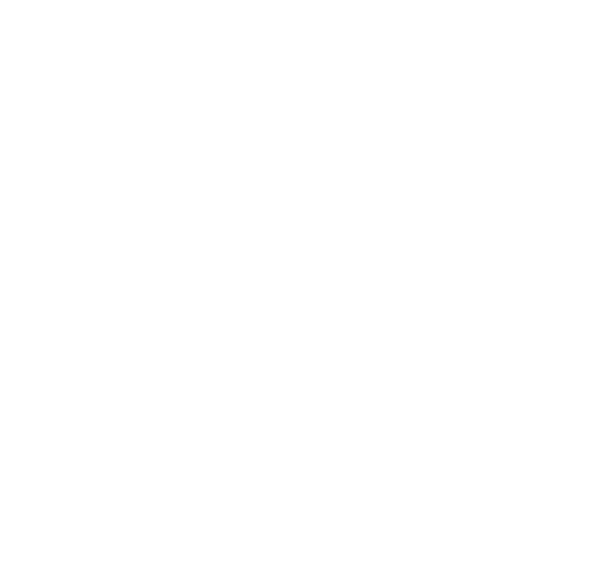 Morelia Brilla Más — 2024-2027